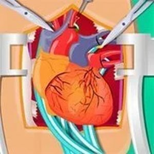 Heart Surgery Simulation Medical Puzzle