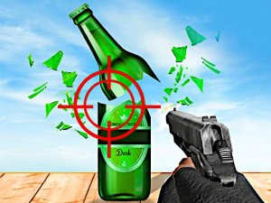 Bottle Blaster 3D Target Game