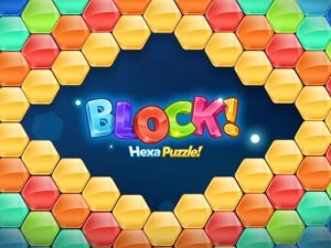Hexa Puzzle Challenge