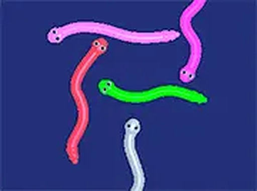 Snake Tangle Puzzle Game