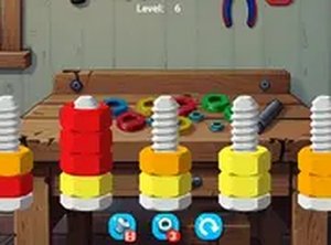 Bolts and Nuts Sorting Puzzle Online Game - Puzzle Game