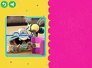 Spider Friends Jigsaw Challenge