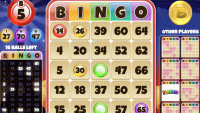 Bingo Online Game