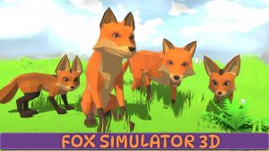 Island Fox Adventure Life