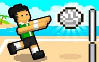 Volley Random Online Game